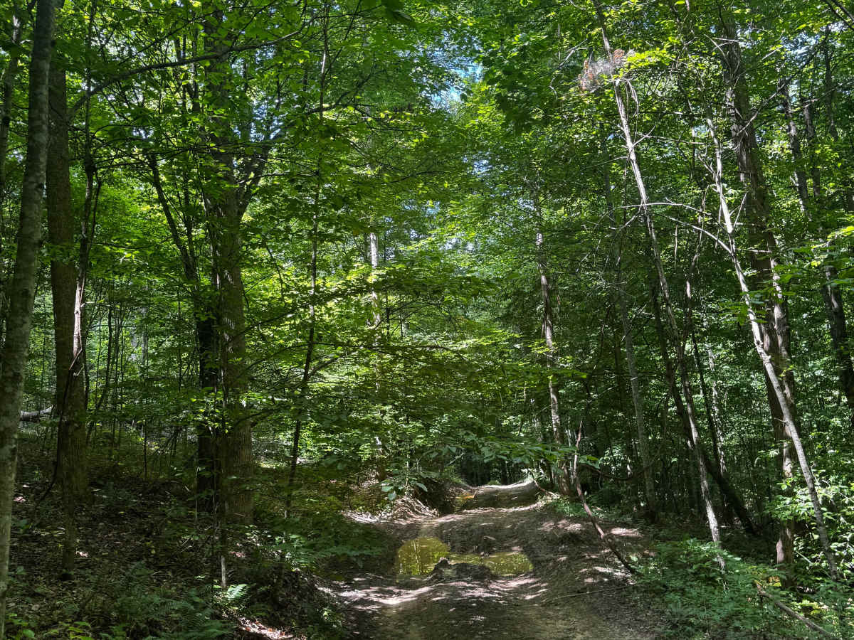 Trail 11A trail photo