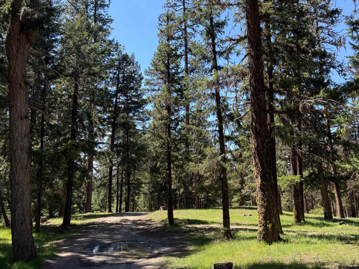 Pine Creek Road photo 2