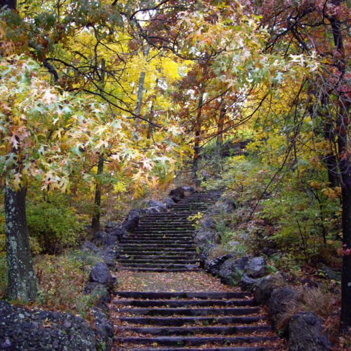 99 Steps Near Franklin Park Loop
