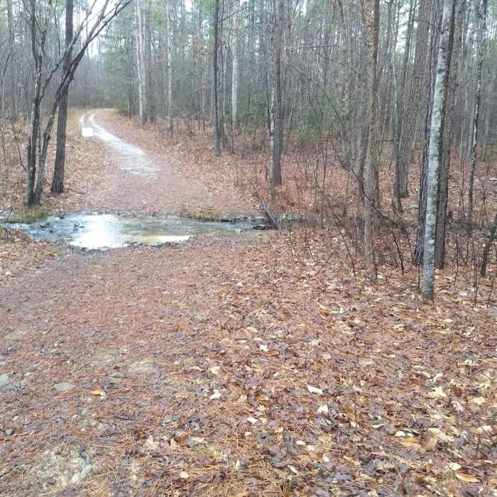 Fendley Trail Loop A stream crossing. Near Fendley Station Loop A
