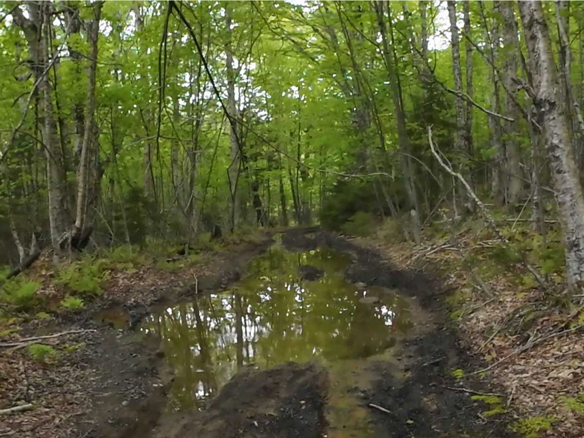 Beaumont Inland Trails photo 4