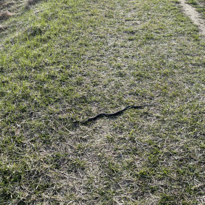 Near Inwood Trail 4.5-Mile Loop