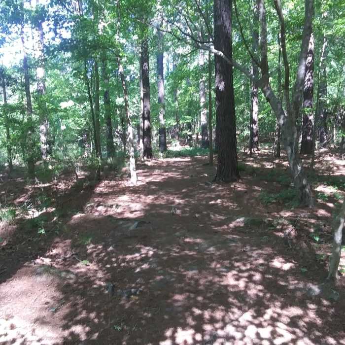 Trail view. Near Peninsula Loop