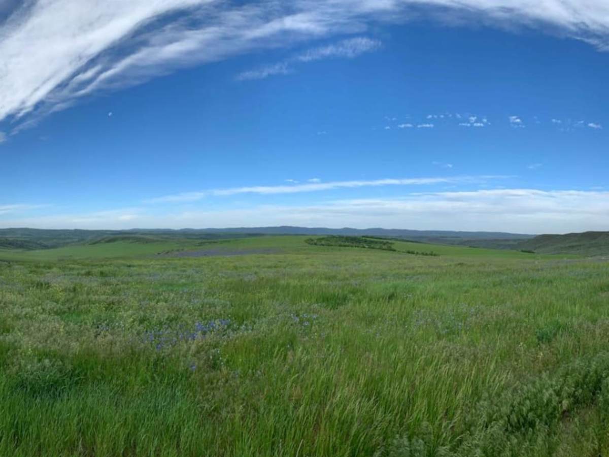 Dans Creek to Caribou Basin photo 2