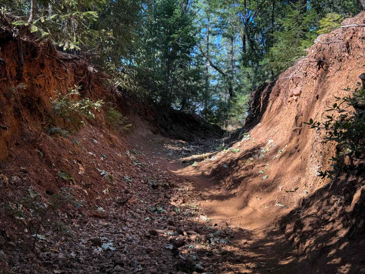 Trail 8 (11E24)  photo 4