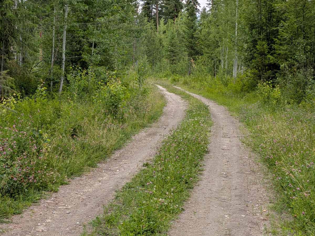Chiliwist Creek Road photo 4