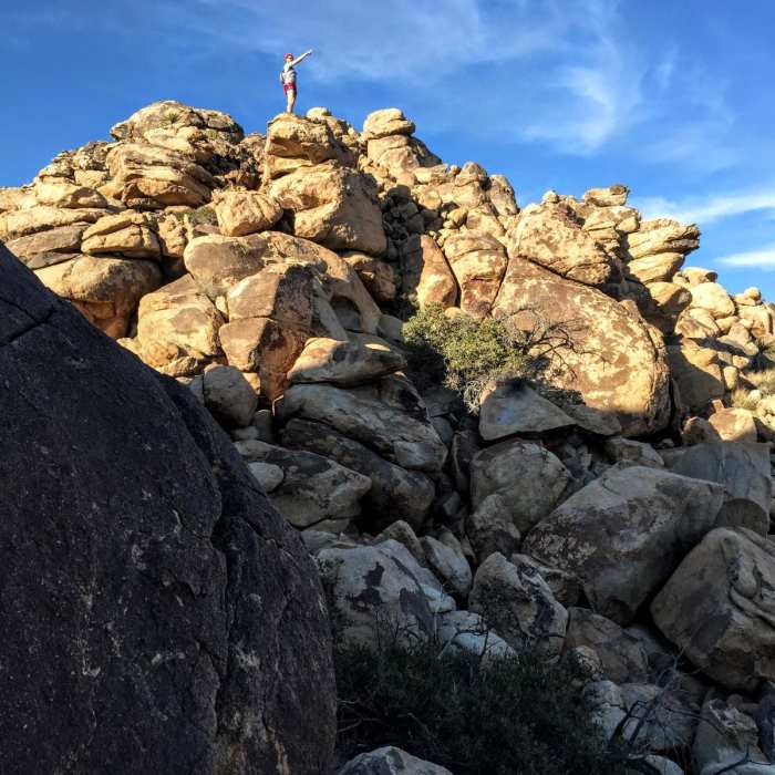 Near Boy Scout Trail