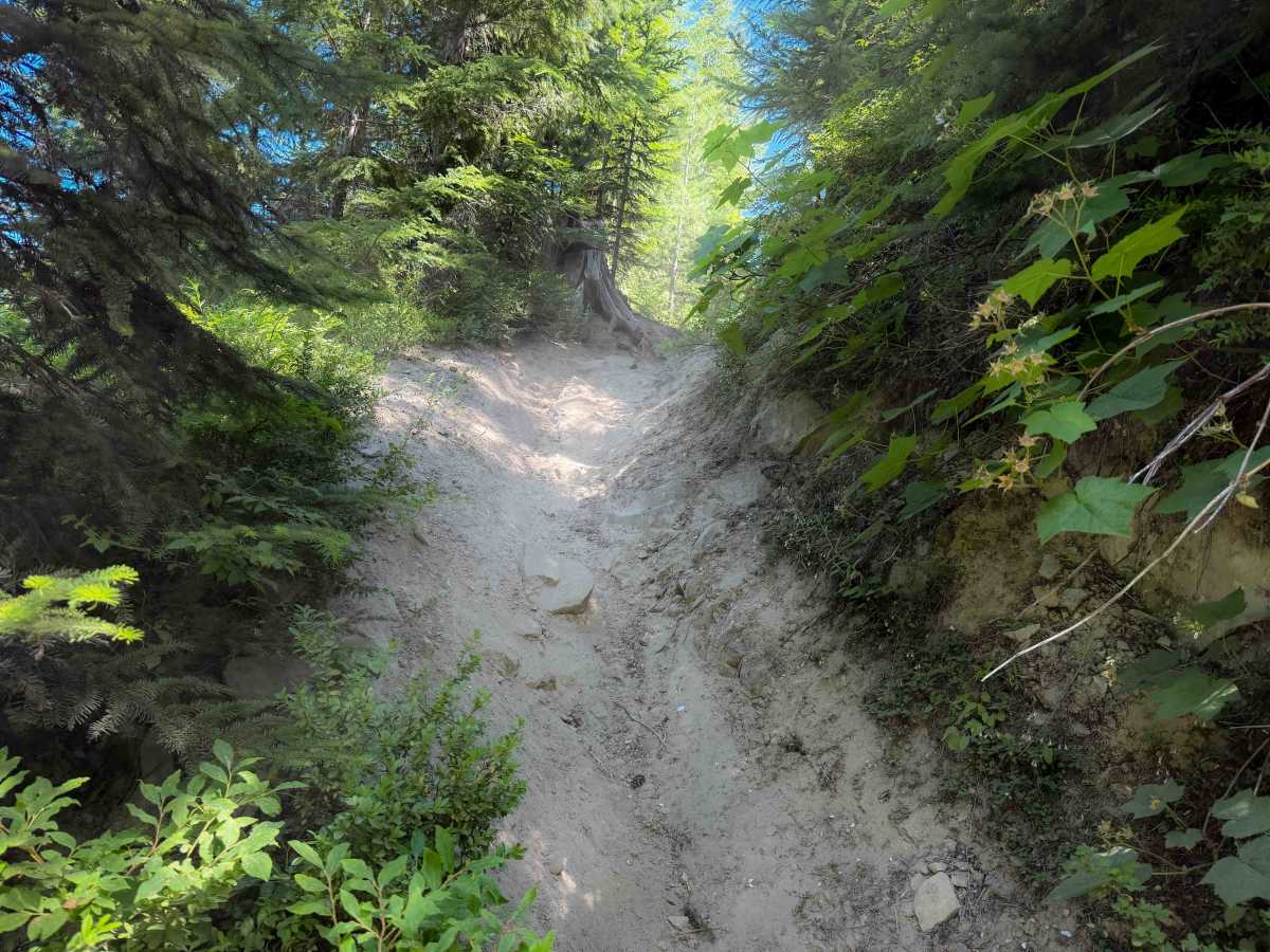 Little Creek Basin Trail 1334 photo 4