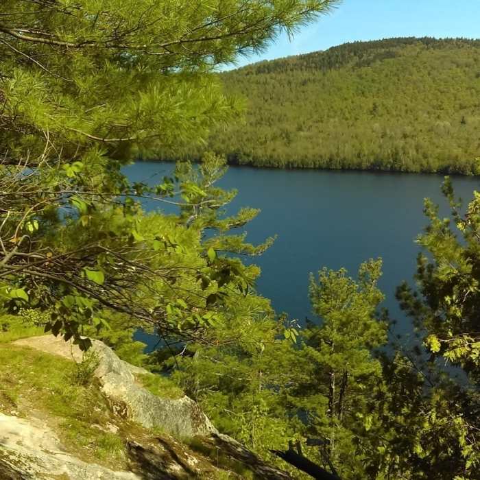 Near Silver Lake Bog Trail