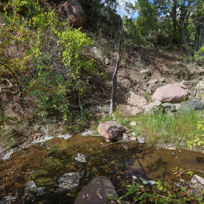 Near Waterfall Trail