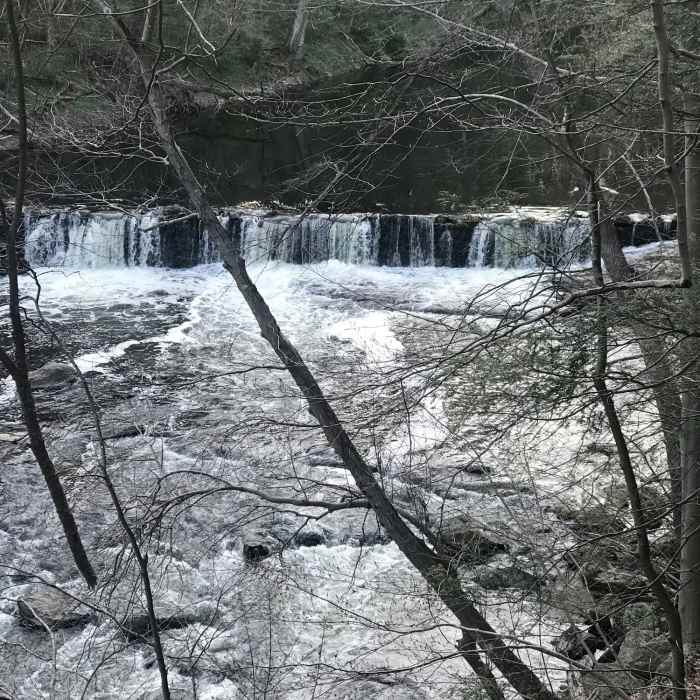 Water Falls Near North Wissahickon Loop