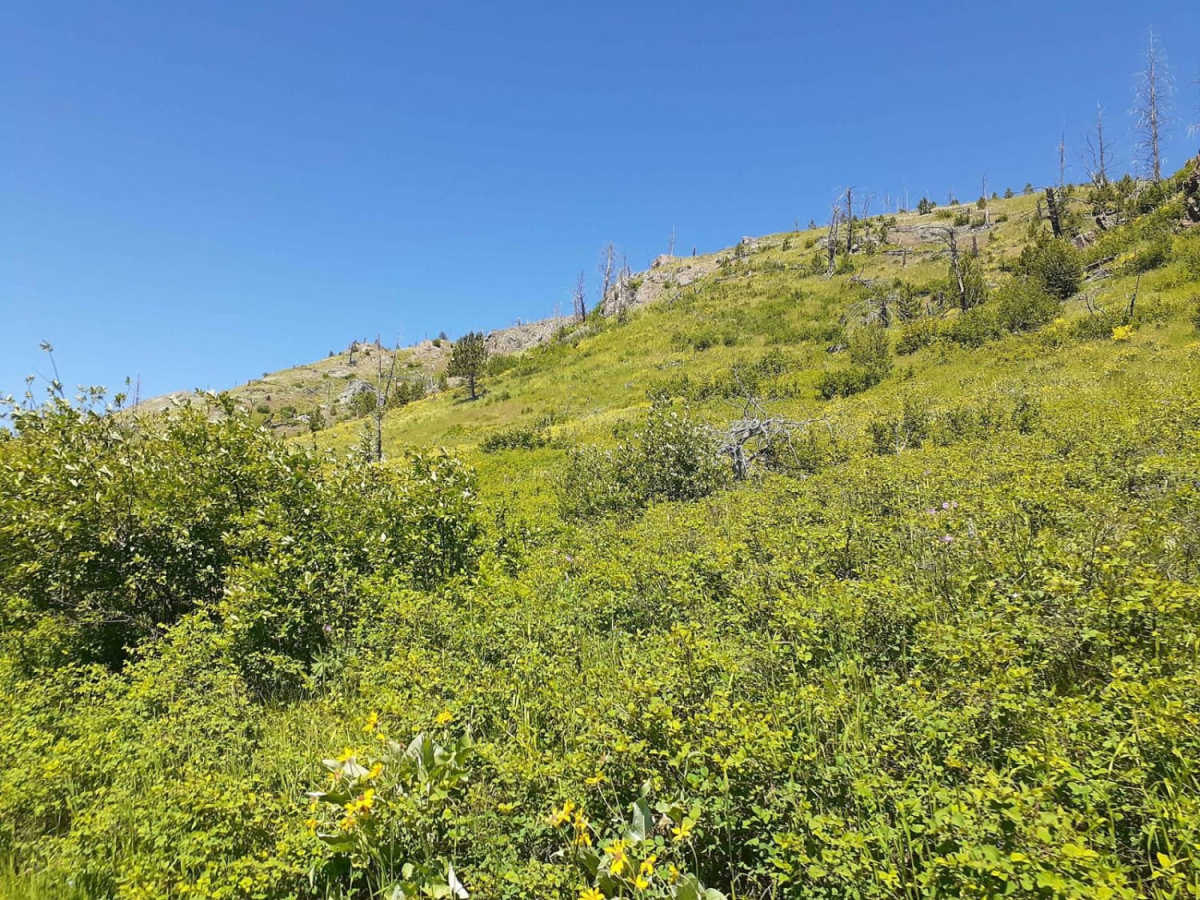 West Bridger Creek Cruise photo 6