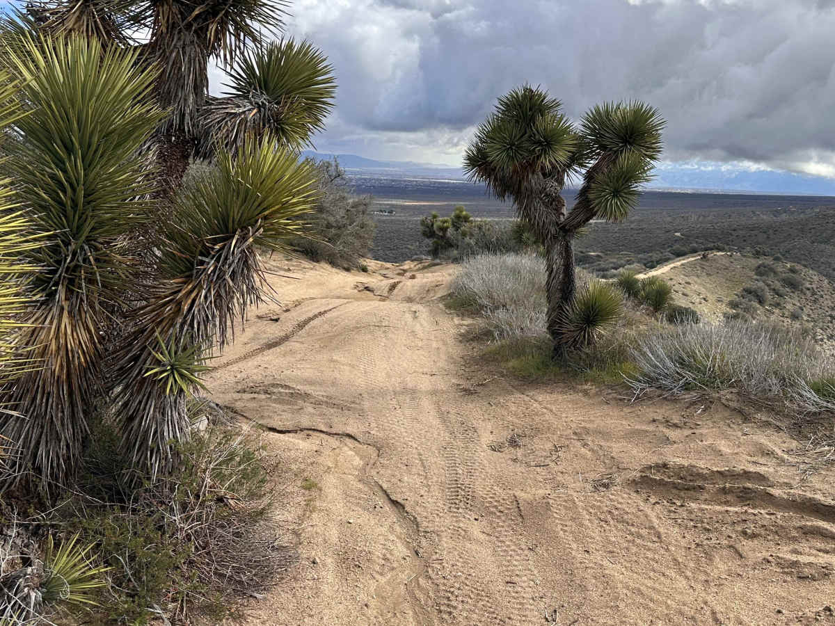 Tom's Kitchen trail photo