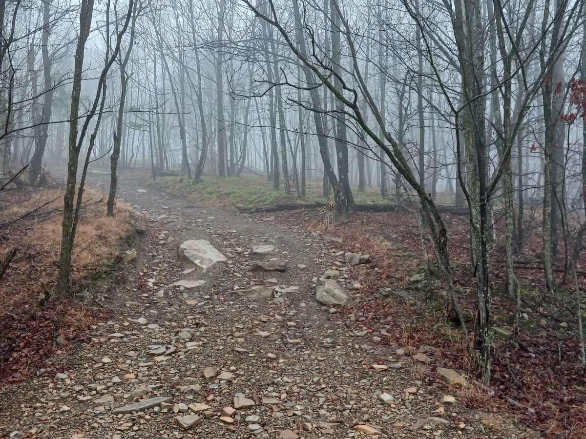 OHV 18 - Rock Run Recreation Area trail photo