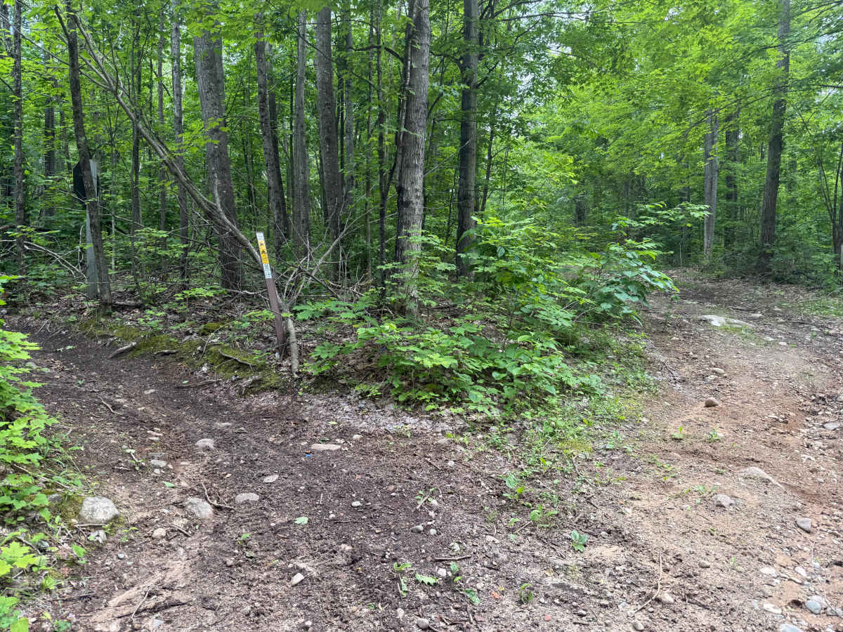 Cedar Run photo 3
