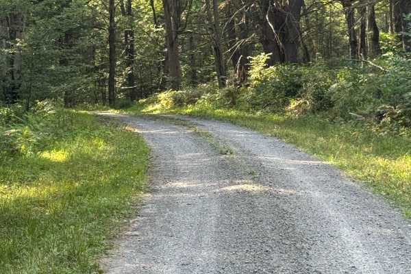 Pine Run Road