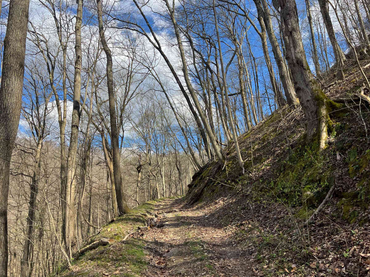 Q57 trail photo
