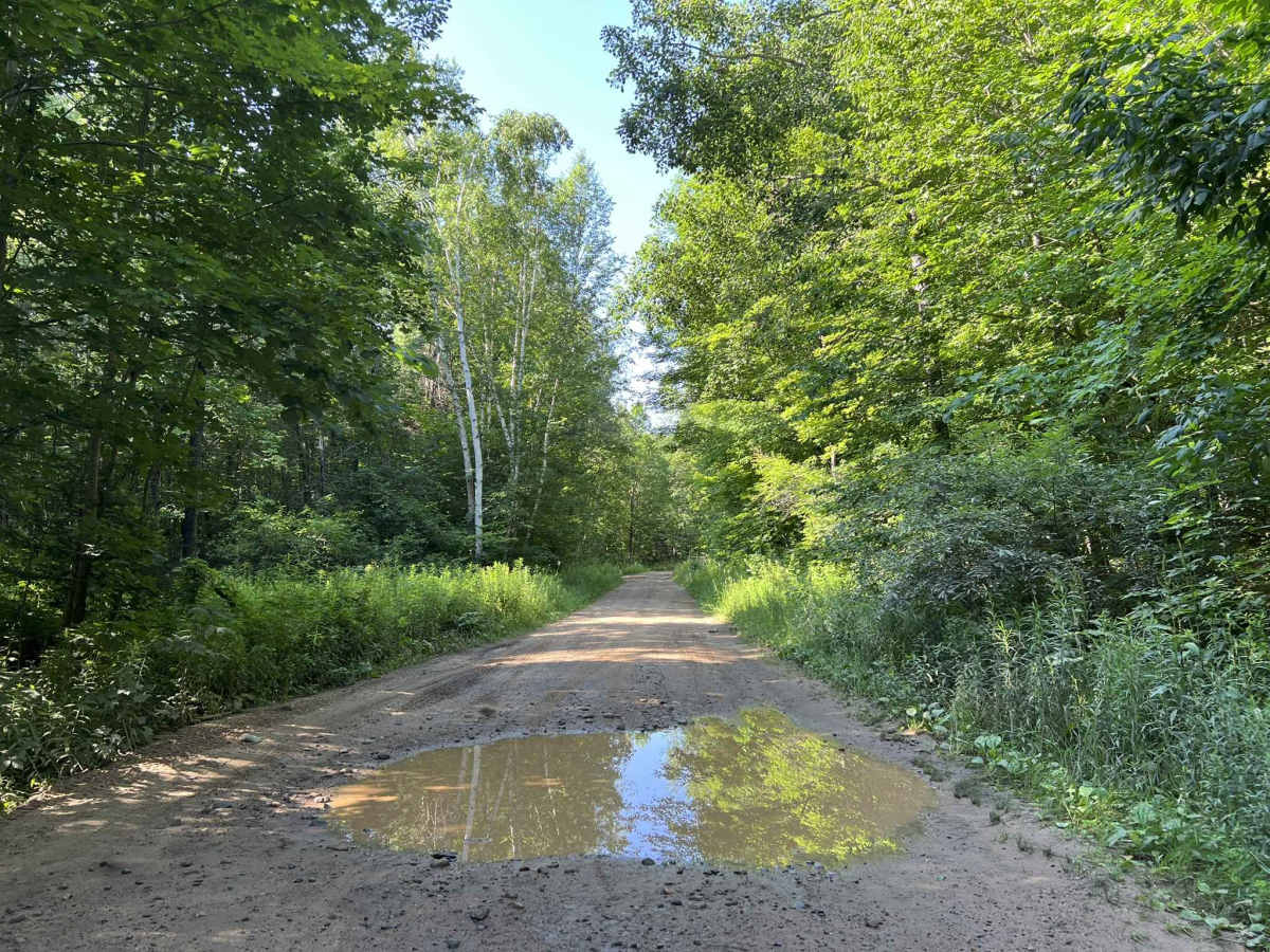 Deep Hole Lake Road photo 6