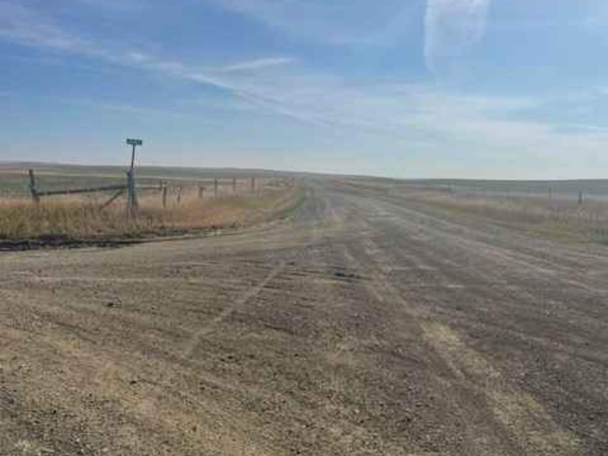 Rapelje Road photo 4