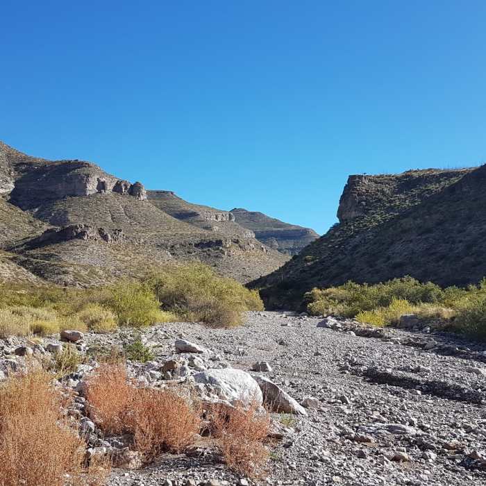 Crossing the Arroyo. Looking NW. Near Alamo Canyon Loop