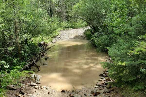 Pioneer Creek