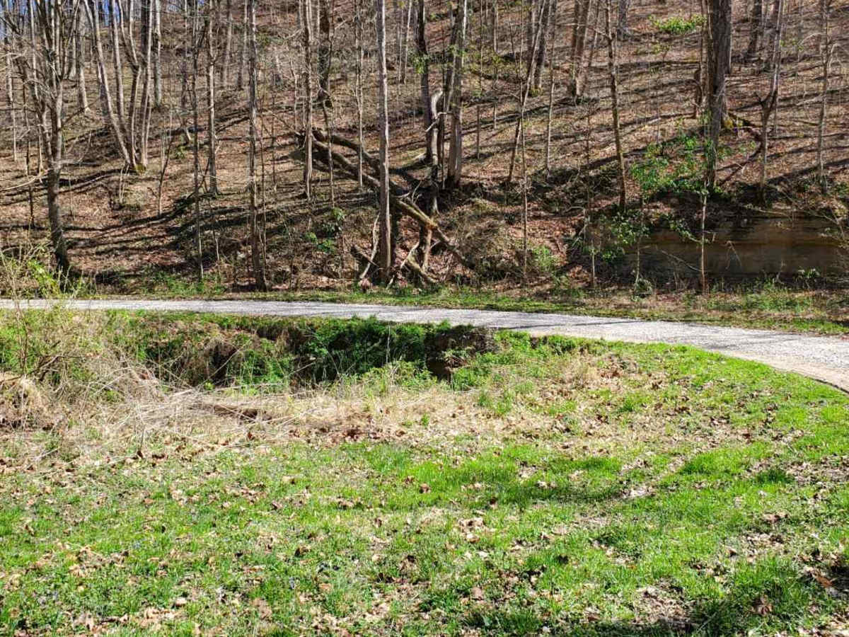 Wagoners Branch Road photo 4