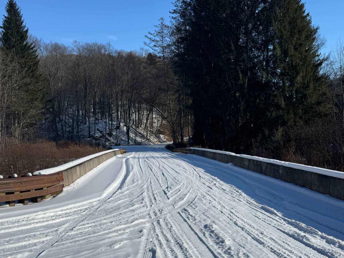 Upper Pleasant Stream Road photo 3