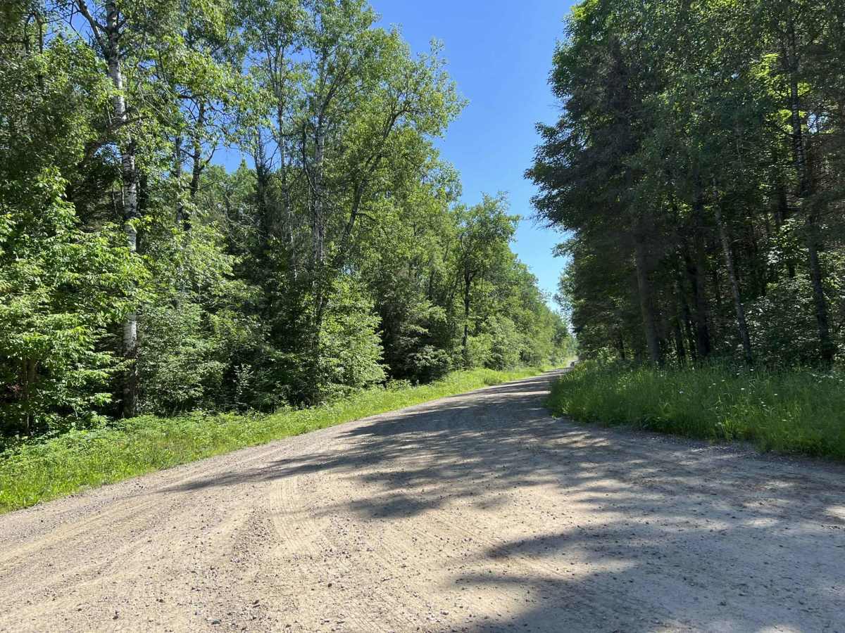 Peshtigo River Road - FS 2131 photo 2