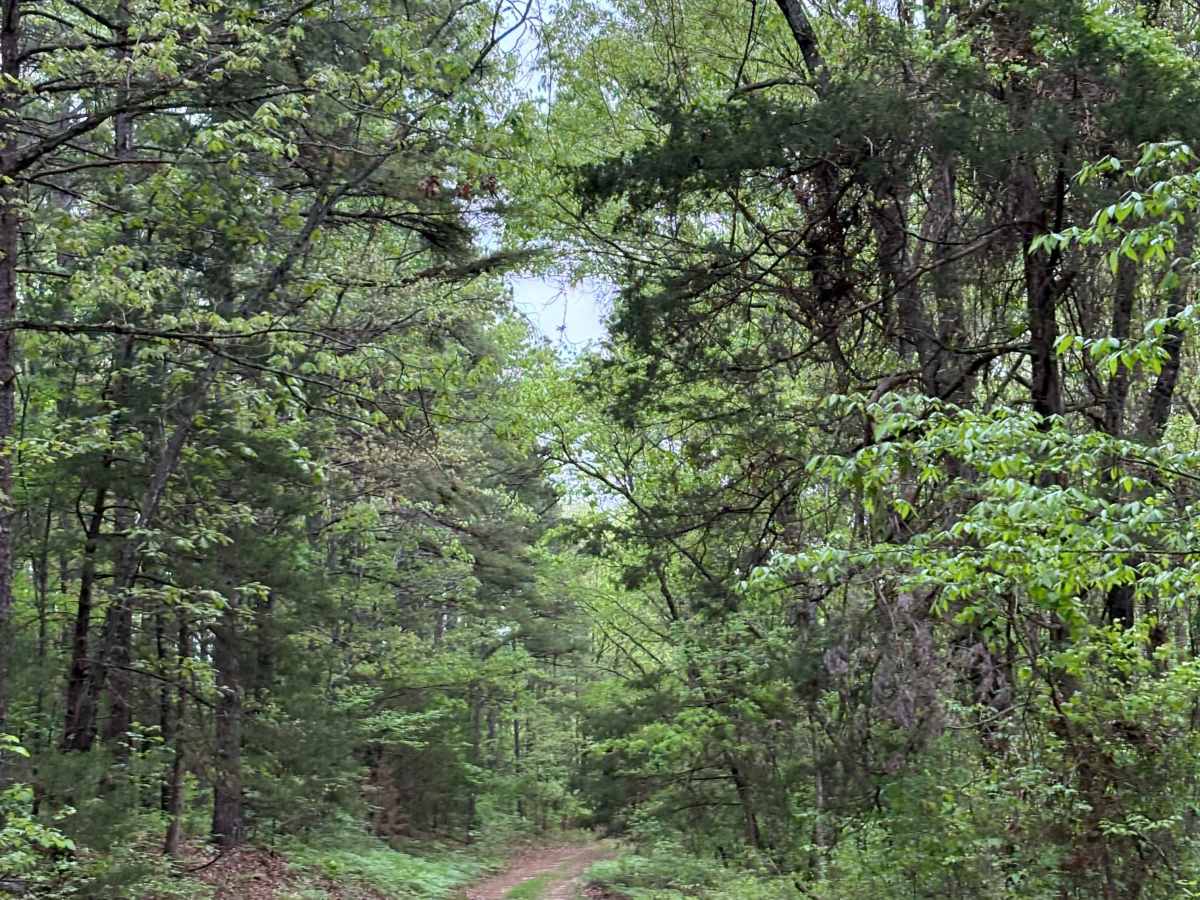 OHT Twin Creek  photo 4