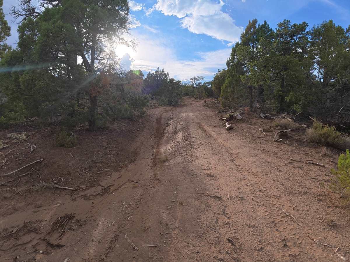 BLM 621A photo 5
