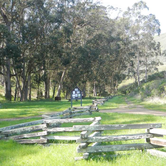 Take a family hike or campout here at Haypress Camp. Plenty of lizards to catch. Near Haypress Camp Trail
