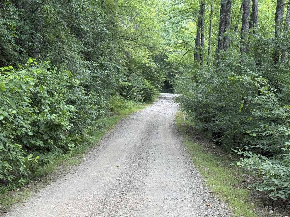 Polk County Road 79 photo 6