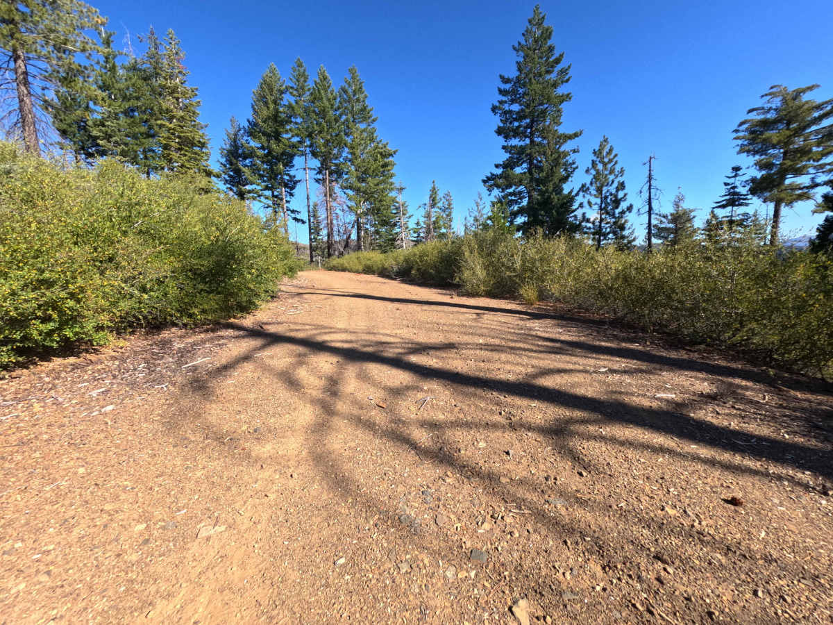 East Government Creek - FS 23N27 photo 4