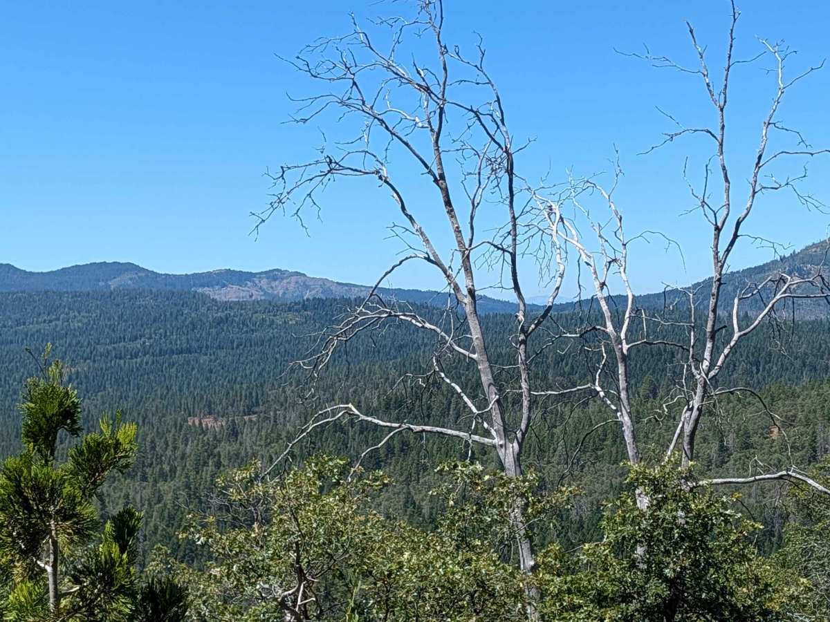 Pit Southwest Mountain - FS 36N21 photo 4