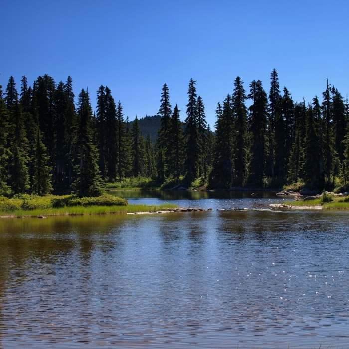Near East Crater Trail #48