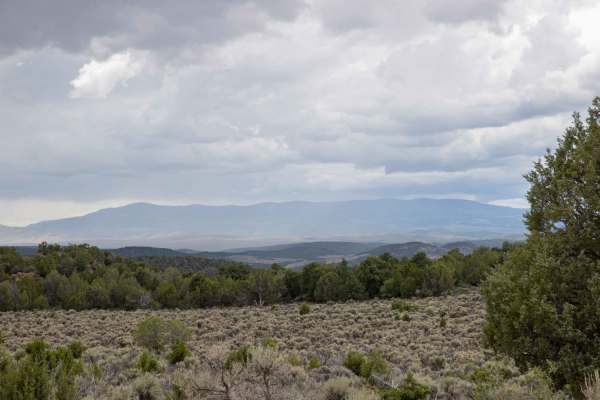 Rex's Reservoir to Lost Creek Road