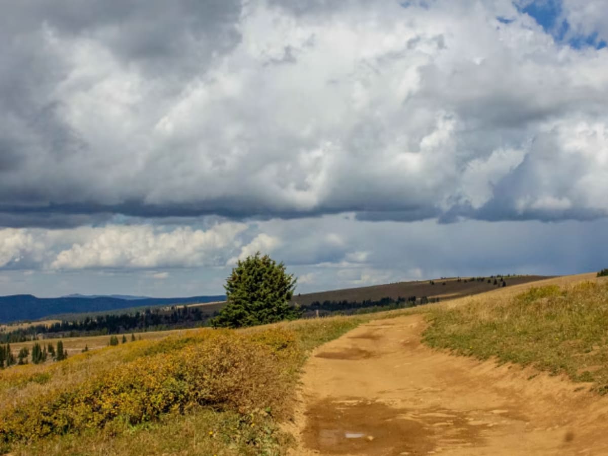 Blair Mountain - FR601 photo 2