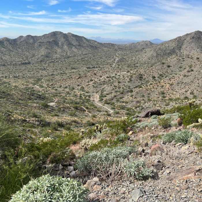 Near Turnbuckle Trail