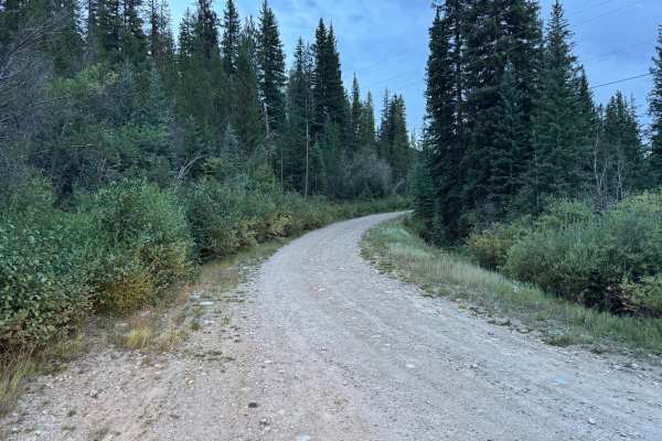 Chapman Gulch Road