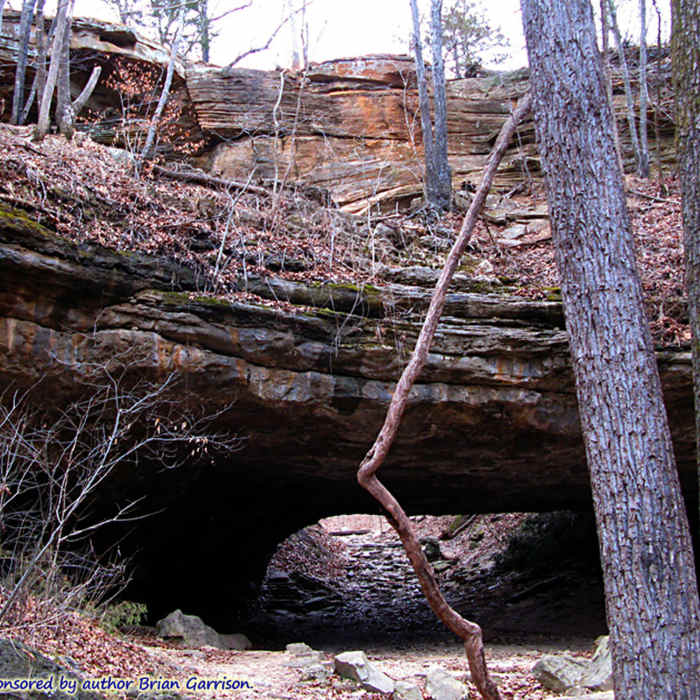 Ha Ha Tonka's natural bridge once carried a roadway and is the remains of a cave passage that collapsed on either side of it. The Colosseum Trail goes under, then loops around and over the bridge. About: 37.974169, -92.763421. Near Turkey Pen Hollow Trail