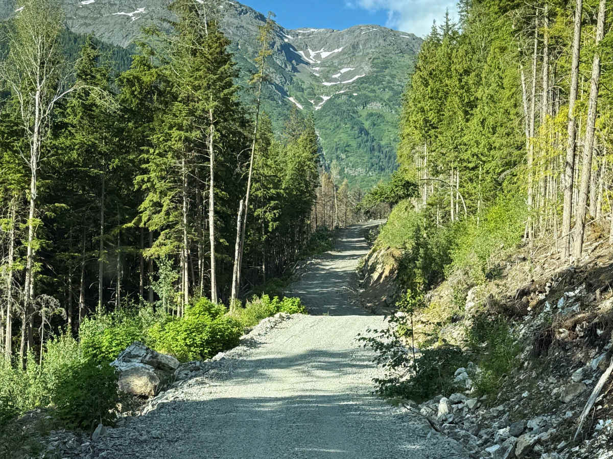 Oliver Creek Trail trail photo