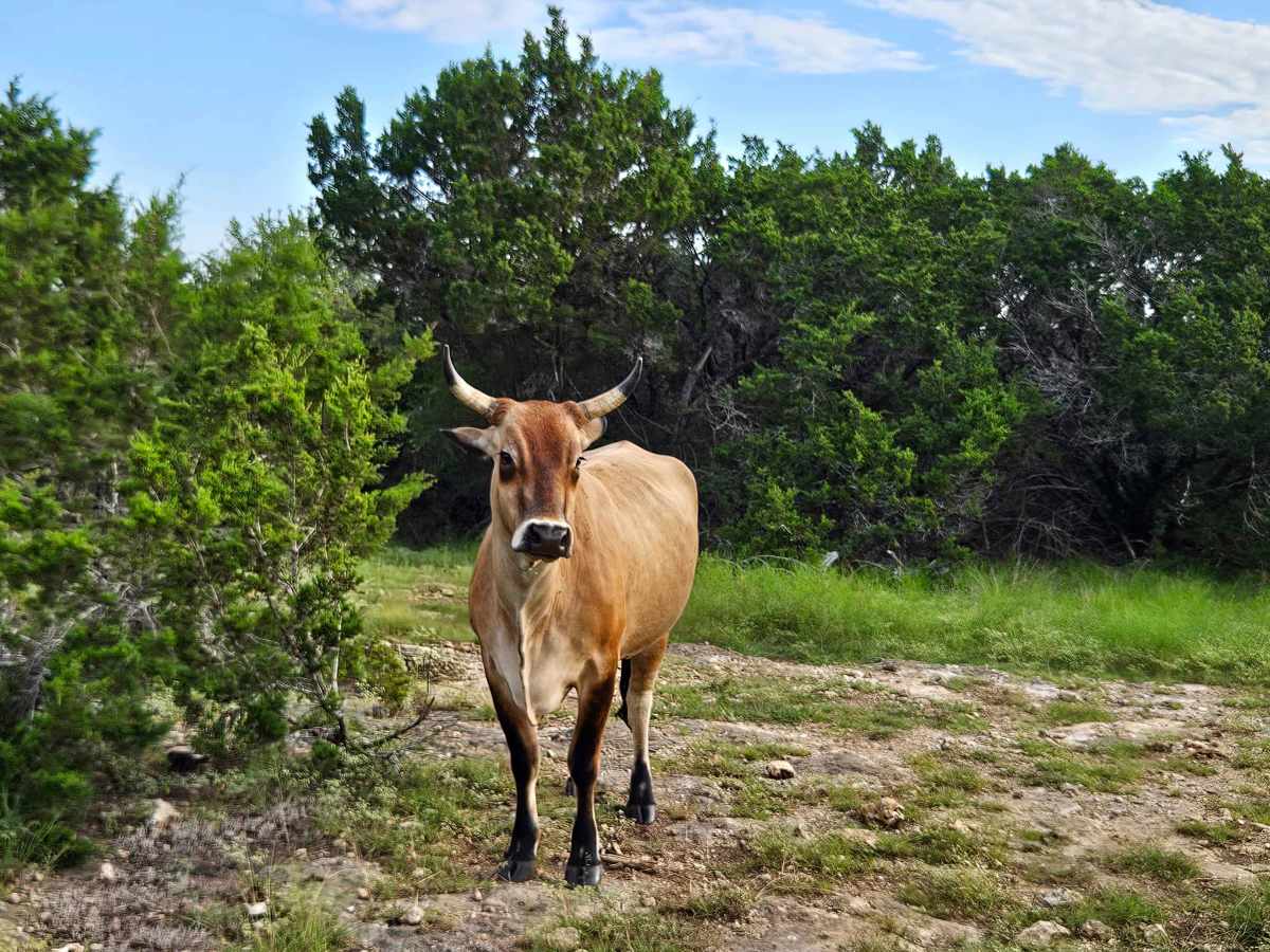 1840 Spur trail photo