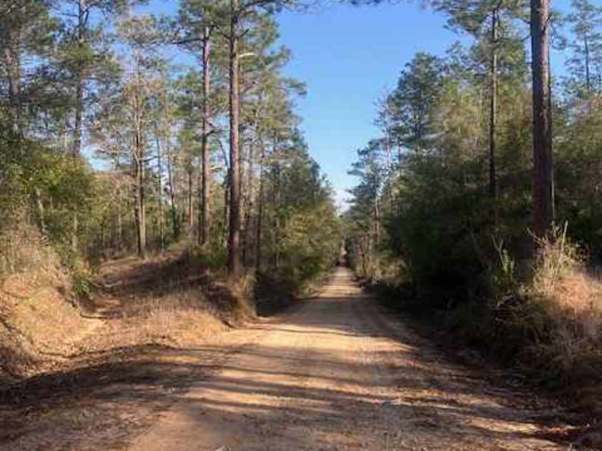 Mason West Road photo 2