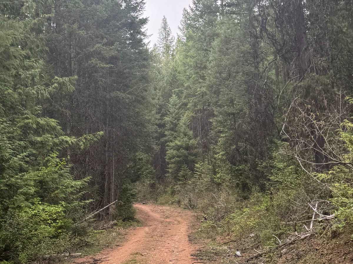 Upper Lane Creek - FS 2000-280 photo 2