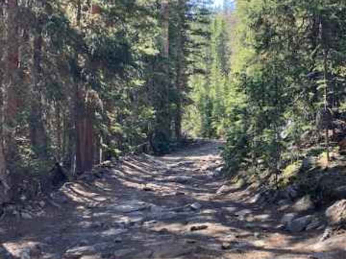 Packer Gulch photo 3