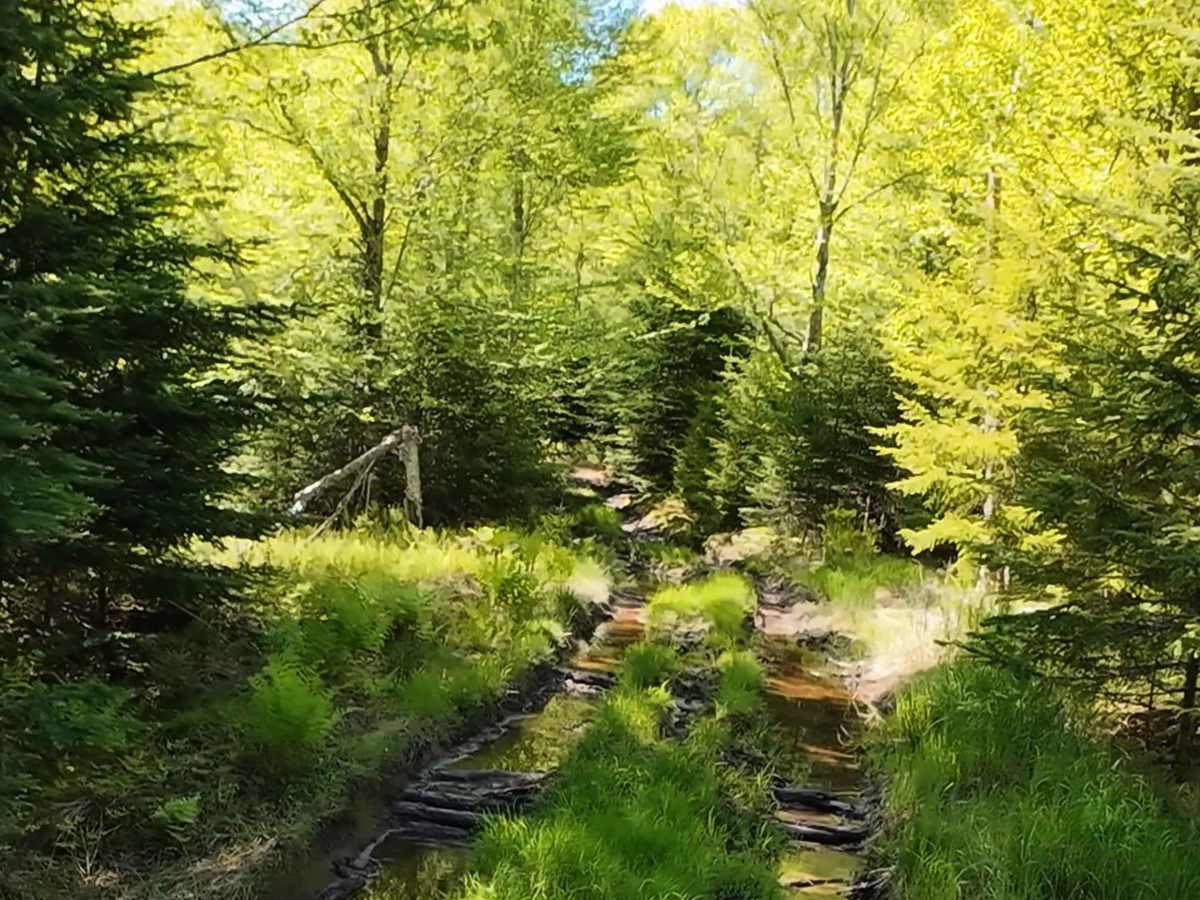 Beaumont Horseshoe Trail photo 3