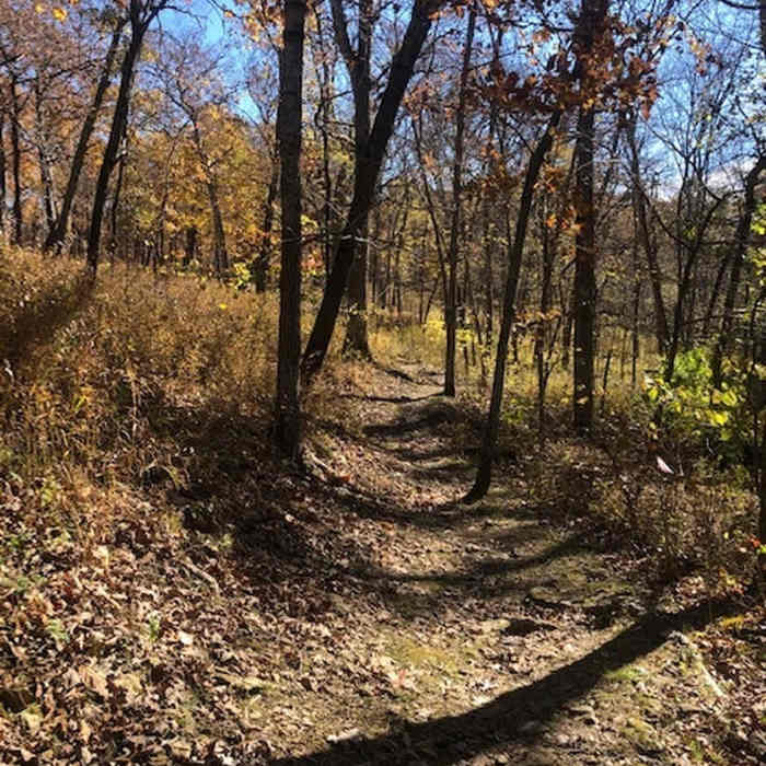 Halloween Weekend. Heavy leaf cover in areas can make for unsure footing. Near Knob Noster Trails