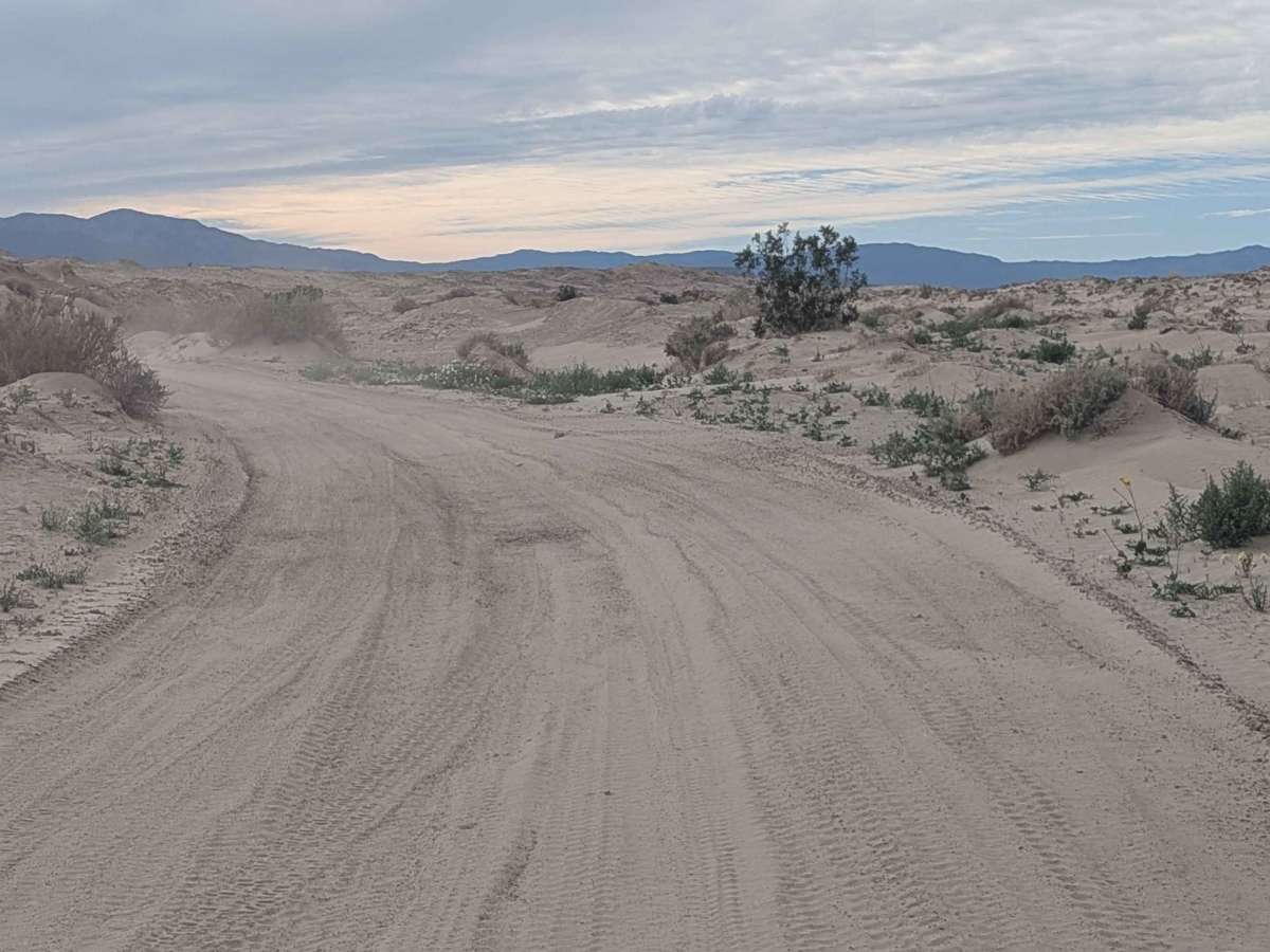 Eriogonum Wash 172 trail photo
