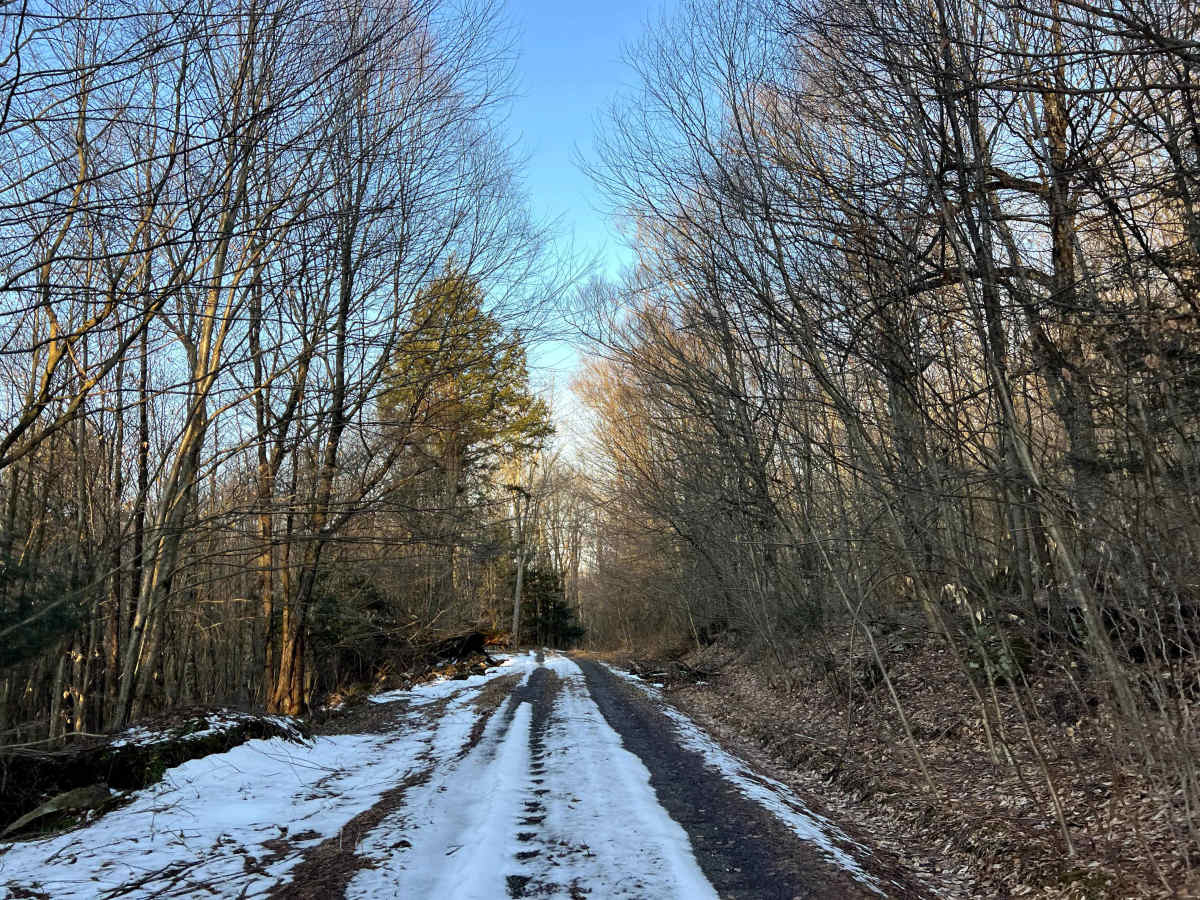 Meade Run Trail - FS 457A trail photo