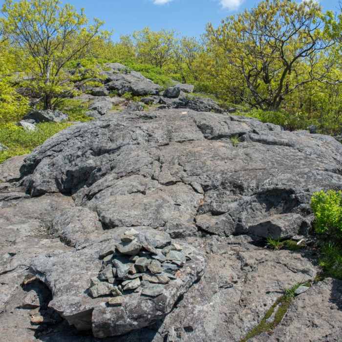 Near Mt. Roberts Near Mt. Roberts